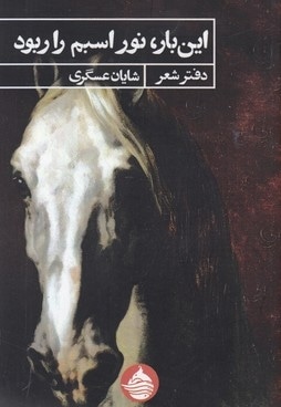 این بار نور اسبم را ربود